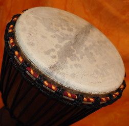 Djembe Trommel Fell