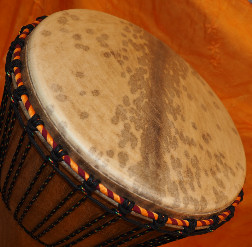 Djembe Trommel Fell