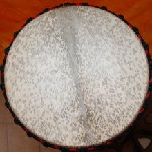 Djembe Trommel Fell