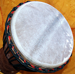 Djembe Trommel Fell