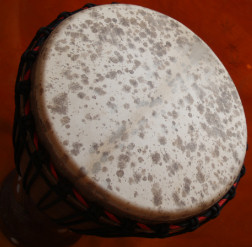 Djembe Trommel Fell