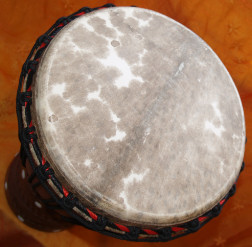 Djembe Trommel Fell