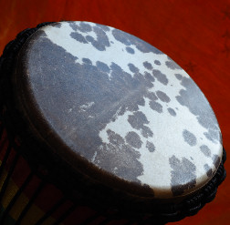 Djembe Trommel Fell