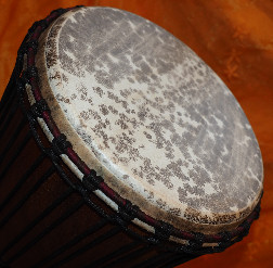 Djembe Trommel Fell