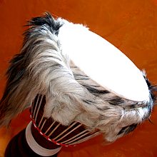 Langhaar Ziegenfell / Longhair Goatskin