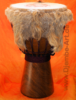 Djembé Art - Sahara Lion - Djembe Trommel der Premiumklasse