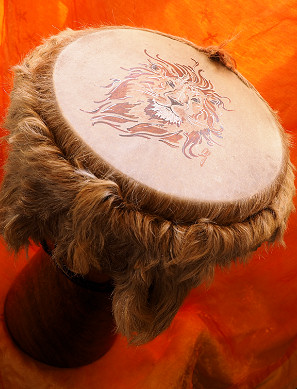 Djembé Art - Sahara Lion - Djembe Trommel der Premiumklasse