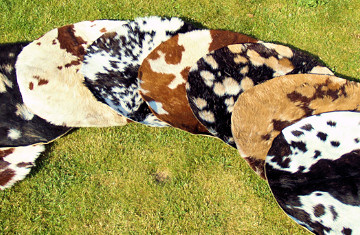 Ziegen Fell, Goatskin, Ziegenhaut, Trommelfell