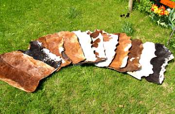 Ziegen Fell, Goatskin, Ziegenhaut, Trommelfell