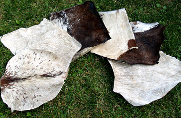 Ziegen Fell, Goatskin, Ziegenhaut, Trommelfell