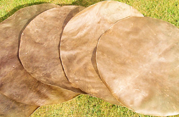 Ziegen Fell, Goatskin, Ziegenhaut, Trommelfell